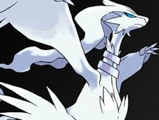 Pokemon Black gameplay screenshot showing Pokemon defending a route